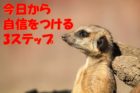 自信のないあなたが、今日から自信をつける3つのステップ