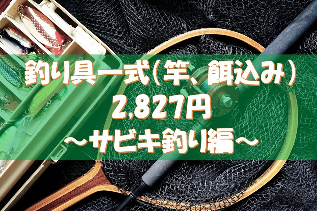 海釣り初心者の僕が 道具一式 竿含む を27円でそろえてみた サビキ釣り編 こころcheck